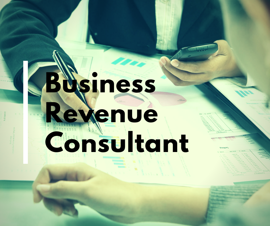 Business Revenue Consultant