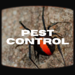 Commonsense Home Pest Control: Getting Rid of Pests Without Harming Ourselves and Our Environment