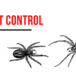 Pest Control Tips